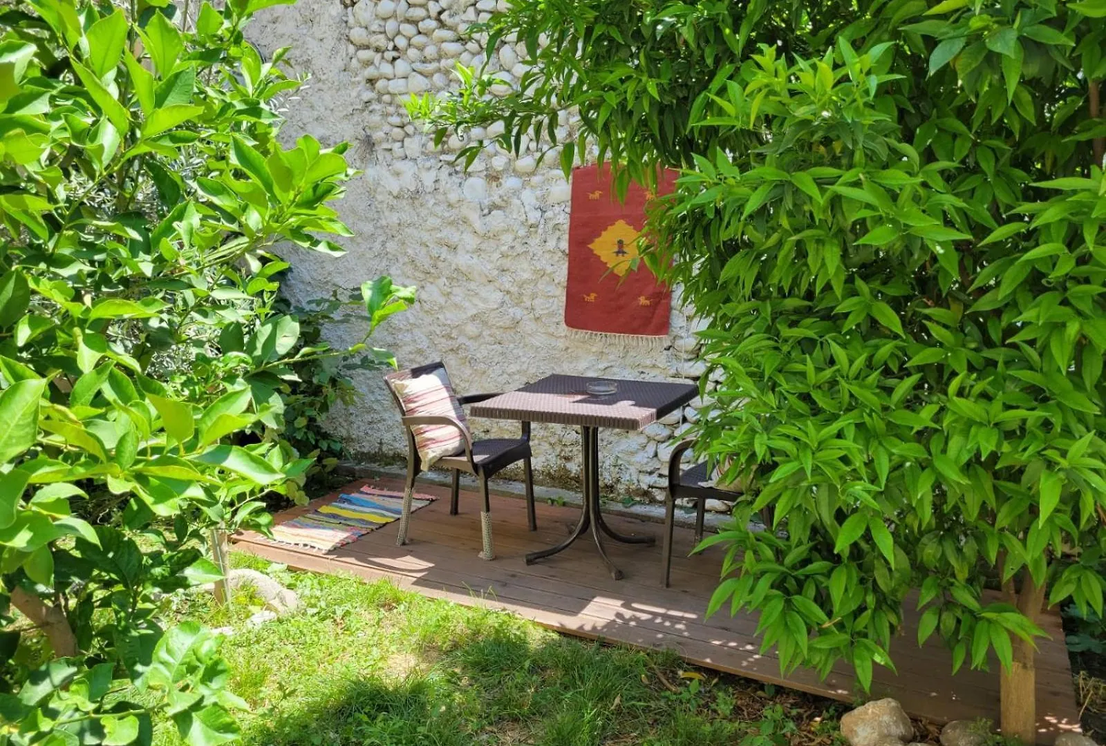 Vila Koltrina Shkodër Penzion