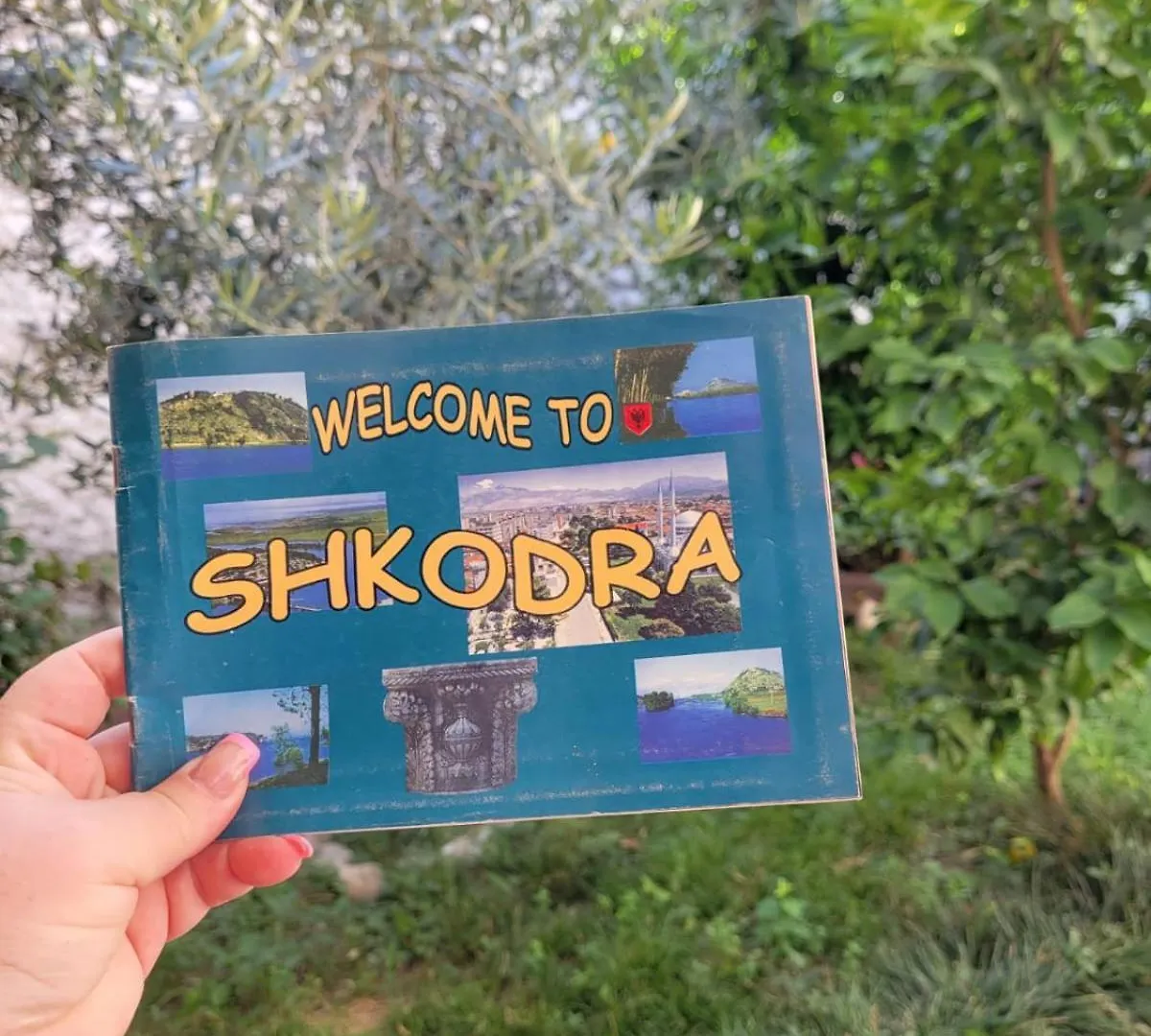 Vila Koltrina Shkodër